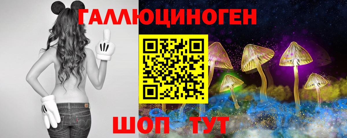 Сухой Лог  Псилоцибиновые грибы Magic Shrooms  Псилоцибиновые грибы прущие грибы  Вход с VPN 